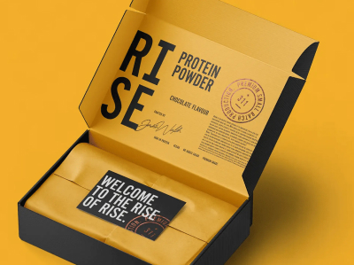 RISE311 hero and branding