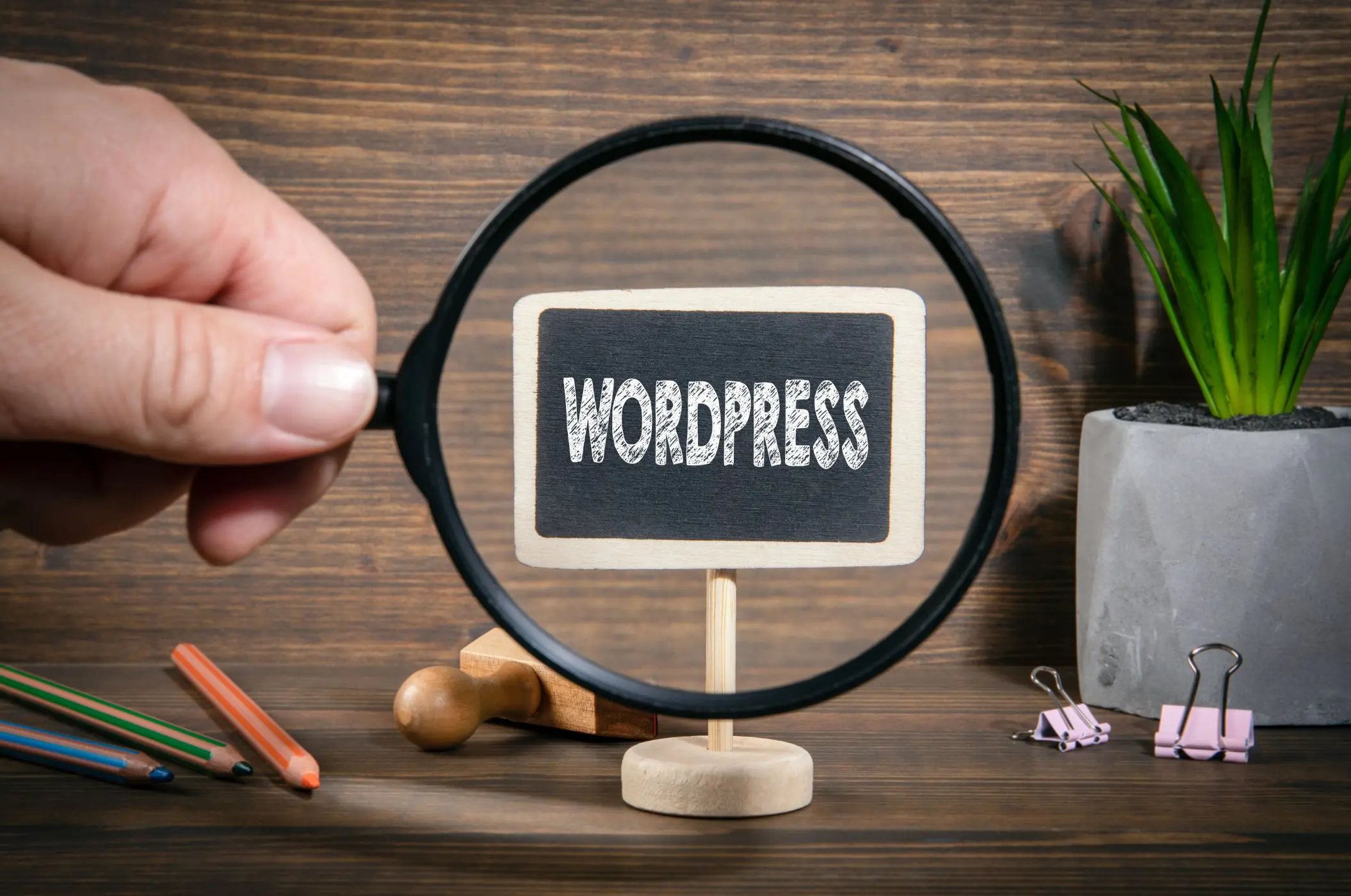 Top 10 WordPress Plugins Every Developer Should Know